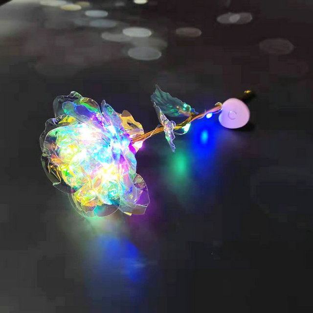 24K GALAXY ROSE