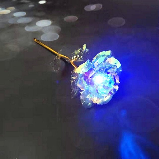 24K GALAXY ROSE