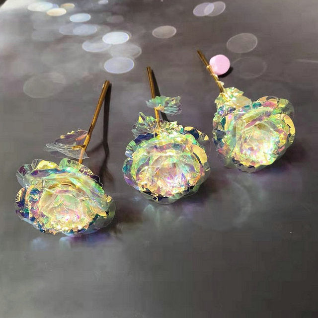 24K GALAXY ROSE