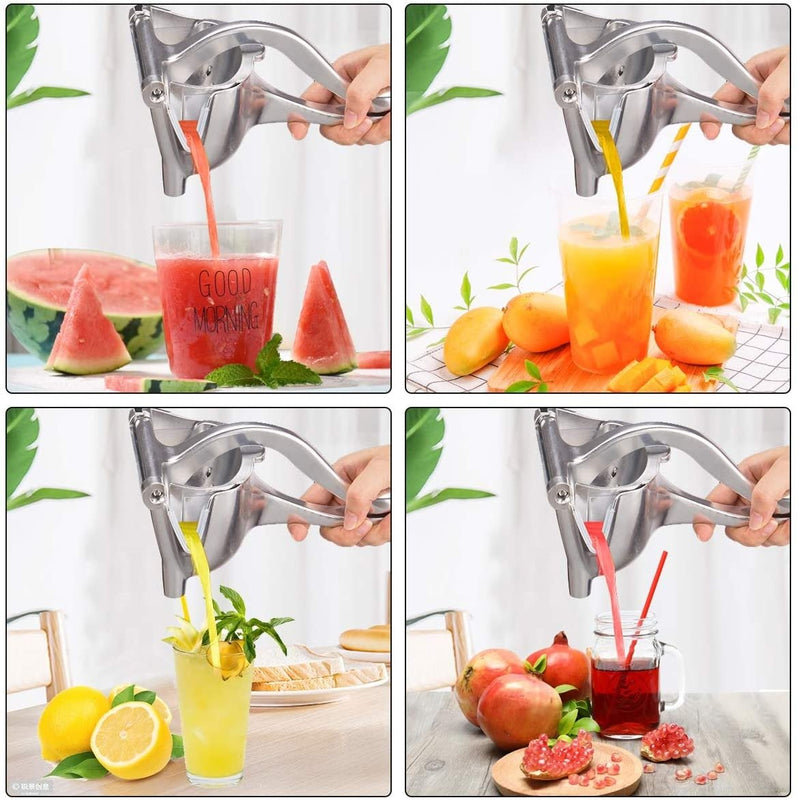 THE BEST FRUIT PRESS 2022
