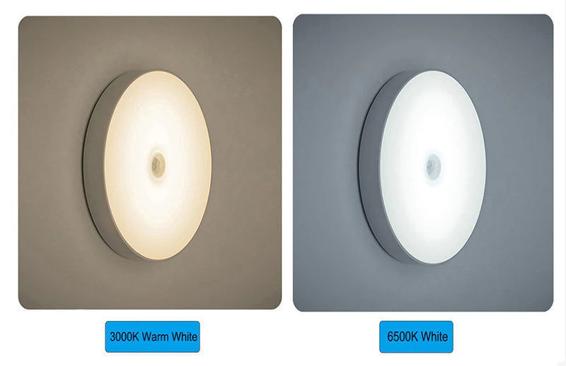 MOTION SENSOR LAMP