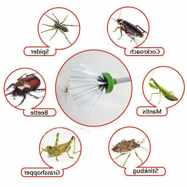 CREATIVE PEST AND INSECT CATCHER